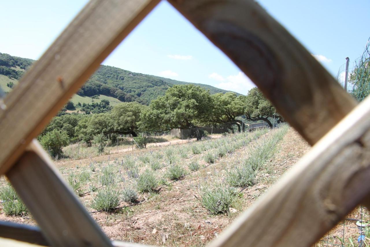 La Puntaccina Villa Aglientu Buitenkant foto